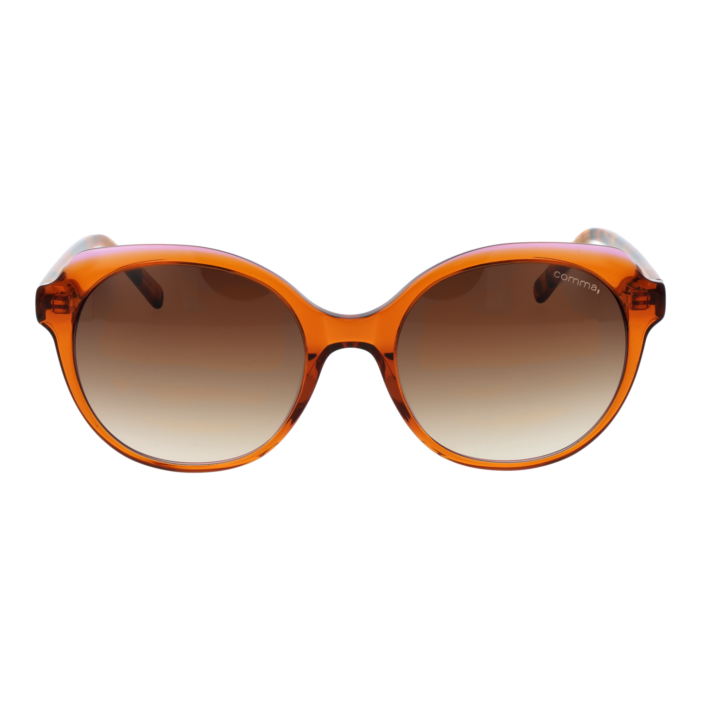 Comma Sunglasses 77188 86 51