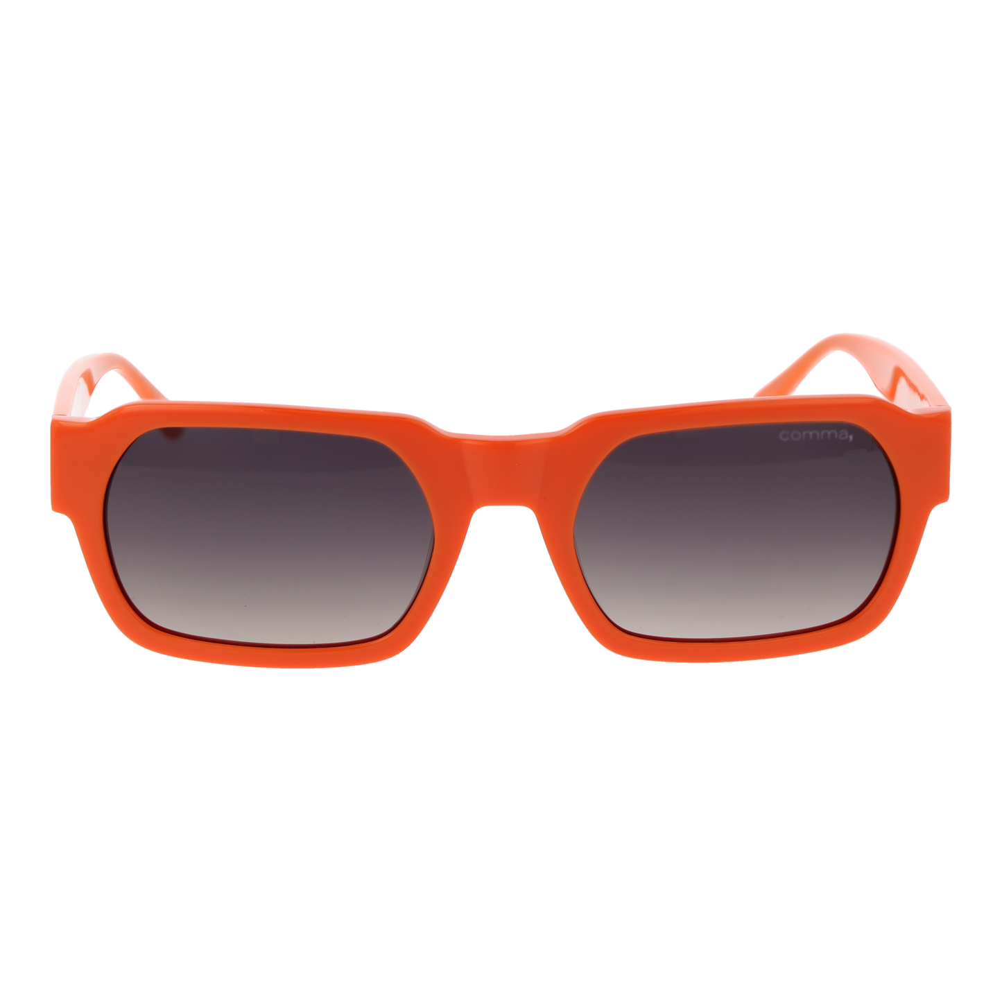 Comma Sunglasses 77209PU 80 53