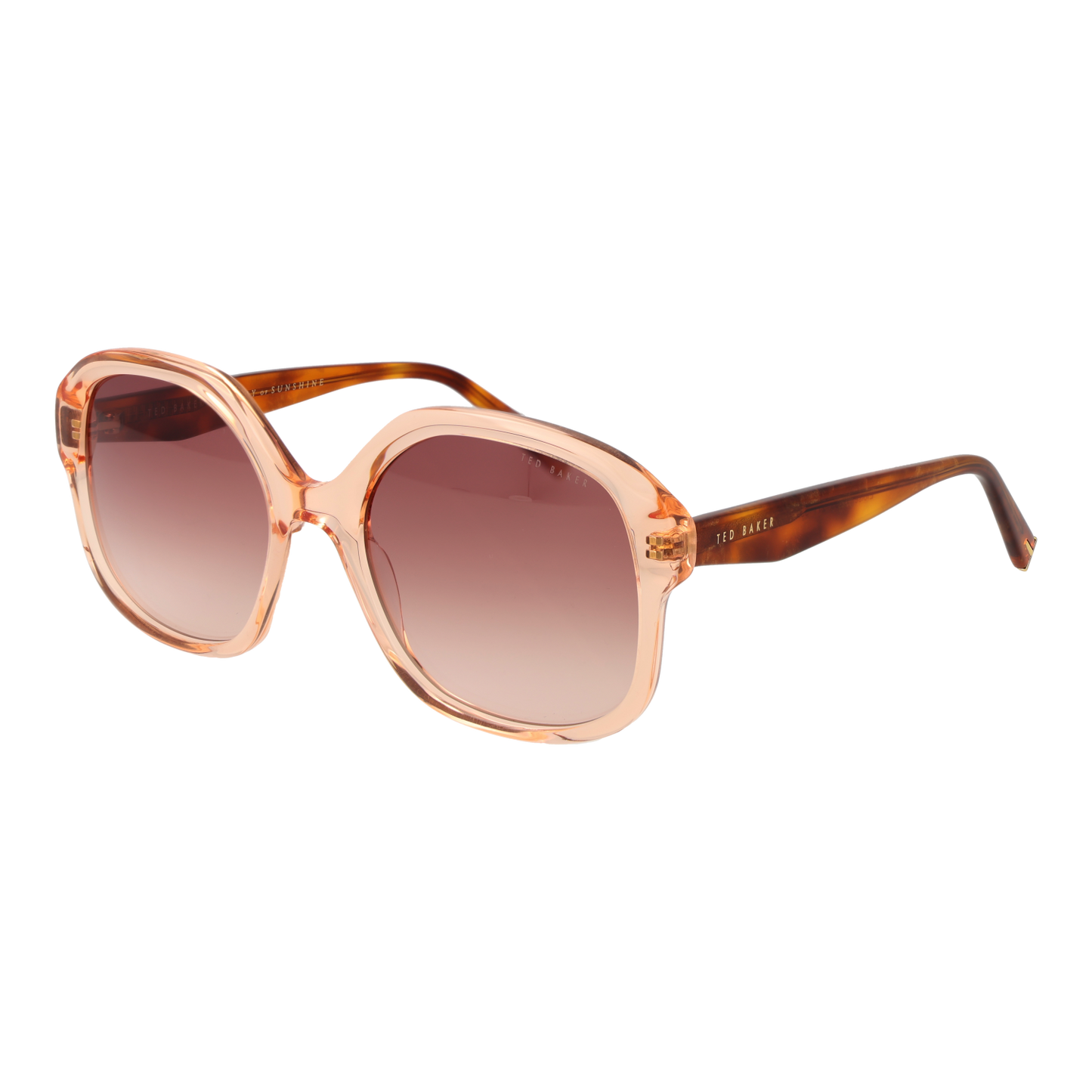 Ted Baker Sunglasses TB1685 271 55