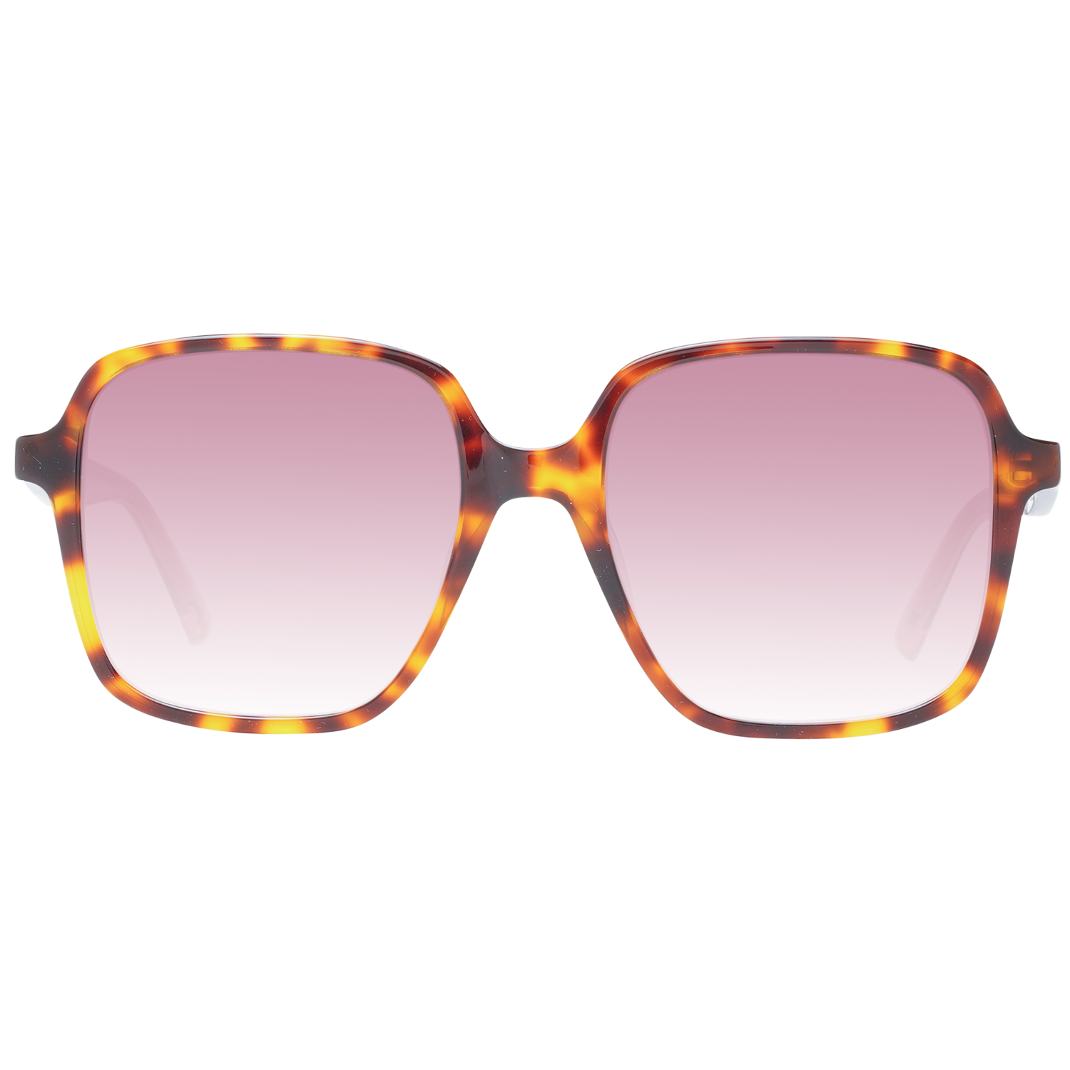 Ted Baker Sunglasses TB1688 001 52