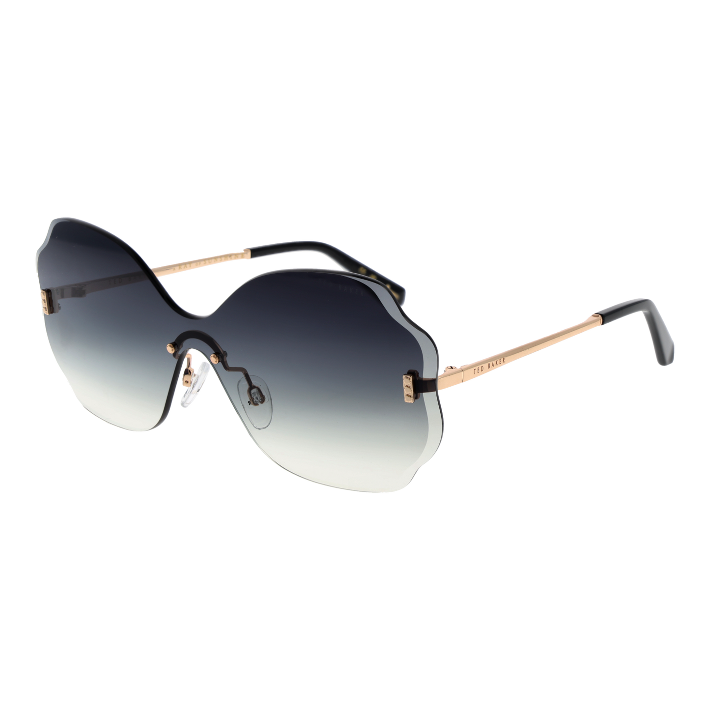 Ted Baker Sunglasses TB1716 401 142