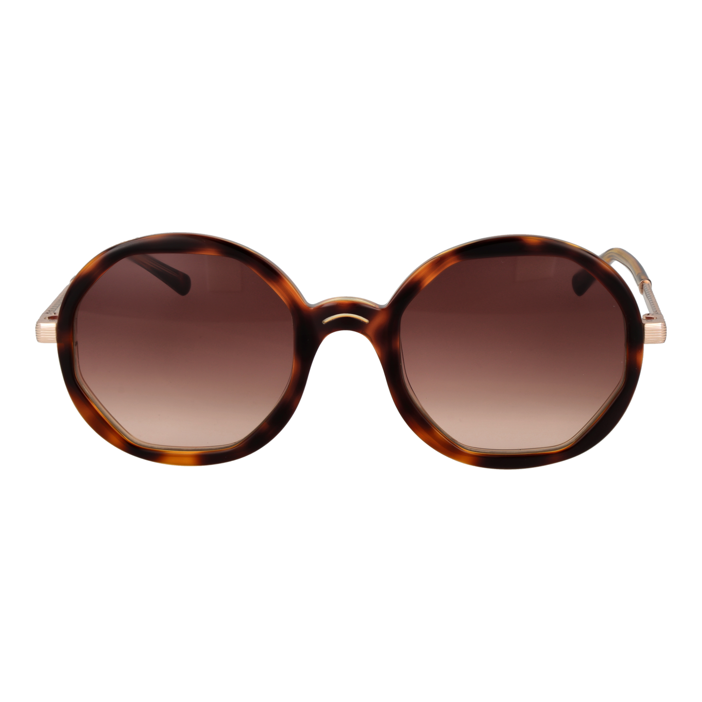 Sandro Sunglasses SD6042 170 53