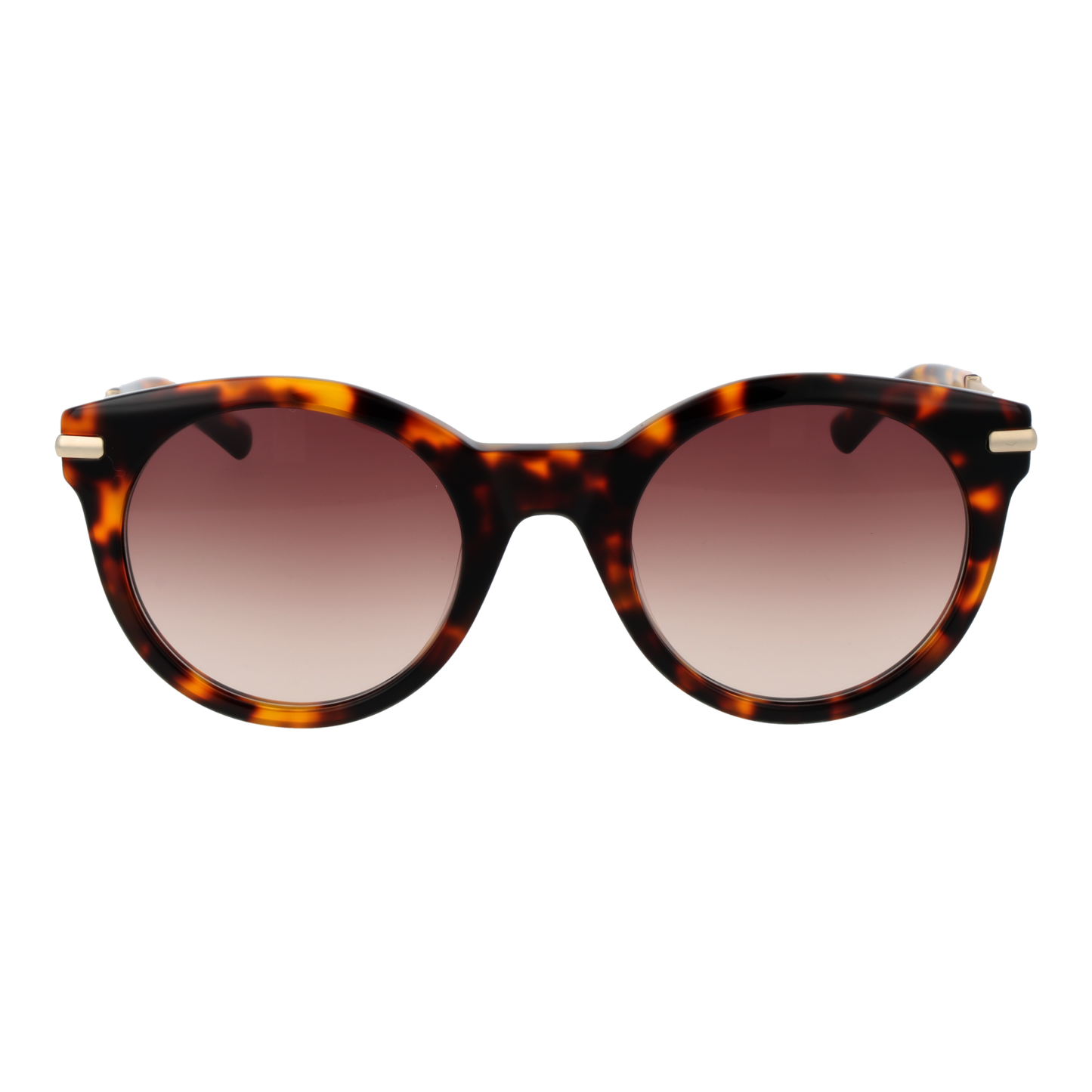Sandro Sunglasses SD6049 128 51