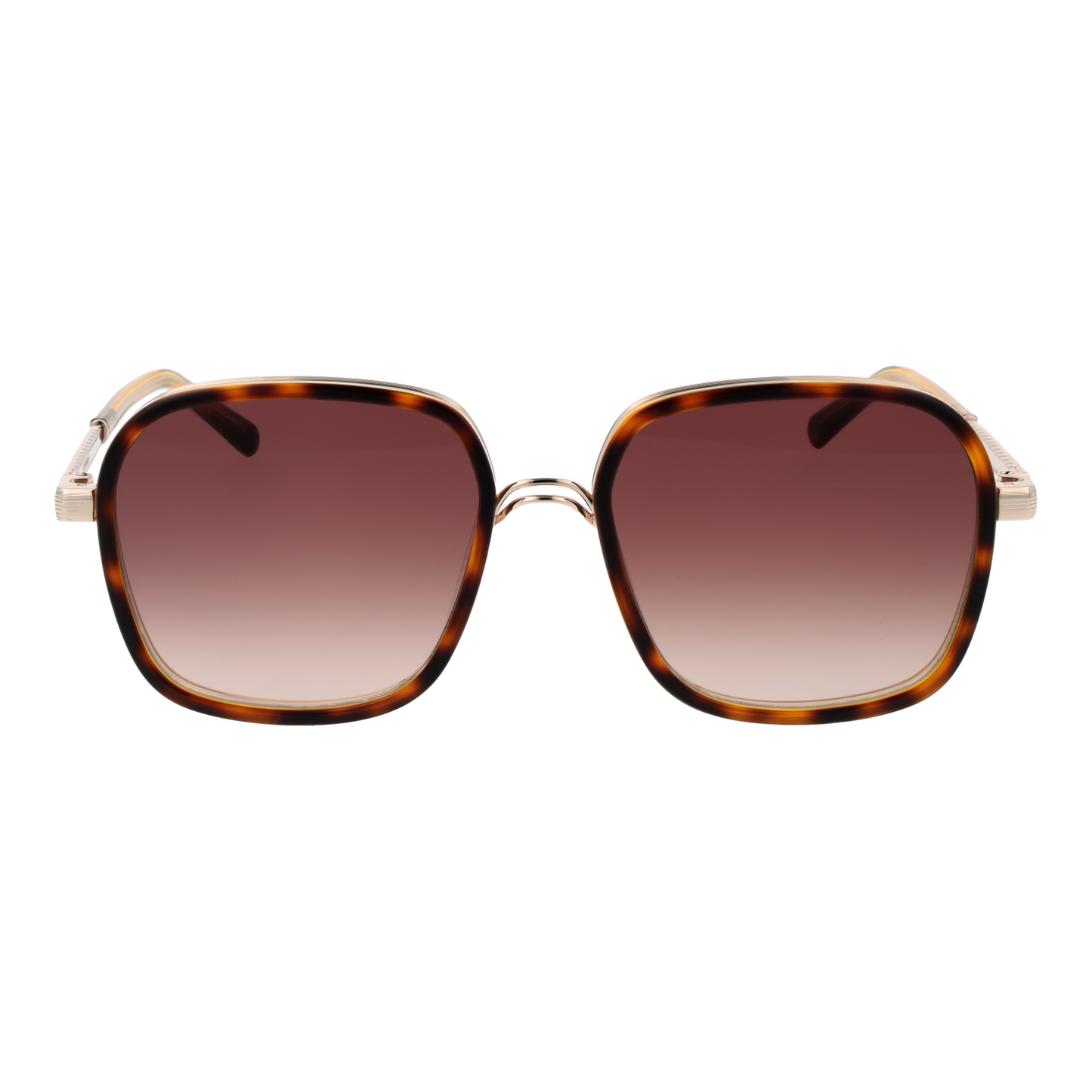 Sandro Sunglasses SD6050 170 54