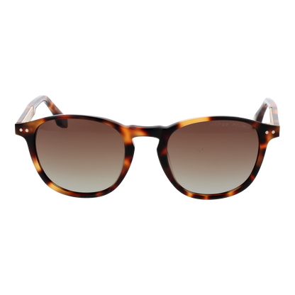 Range Rover Sunglasses RRS303 TRT 51