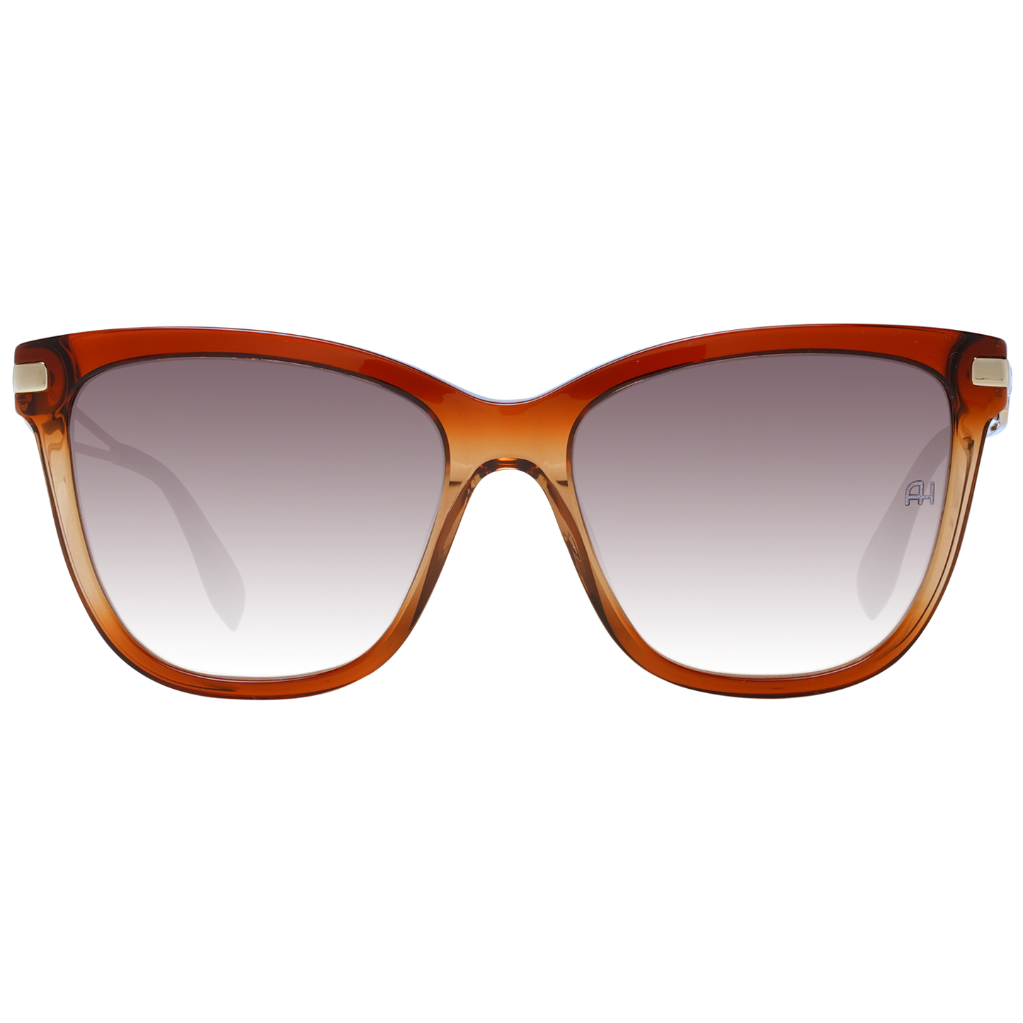 Ana Hickmann Sunglasses AH9270 C01 54