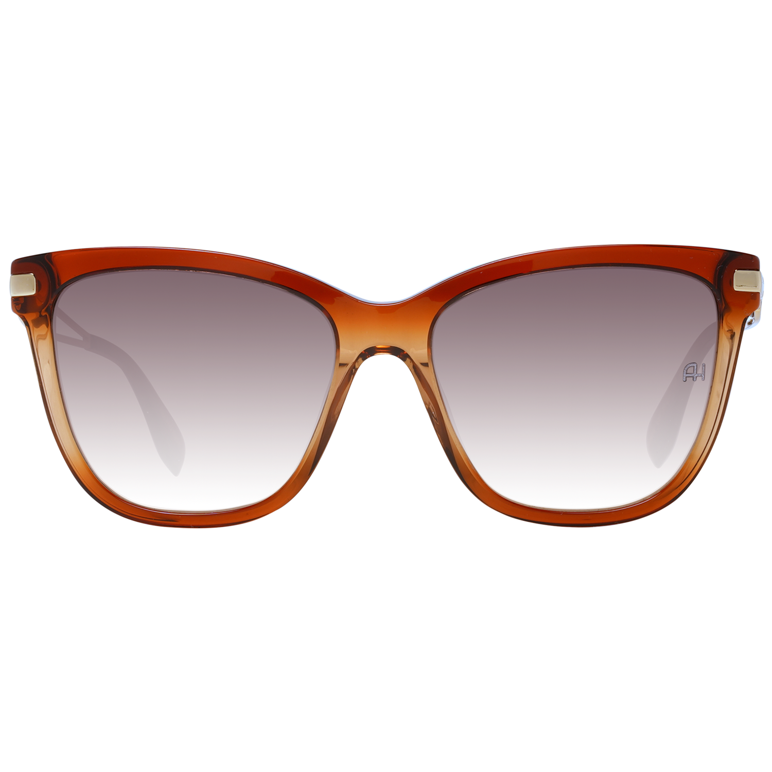 Ana Hickmann Sunglasses AH9270 C01 54