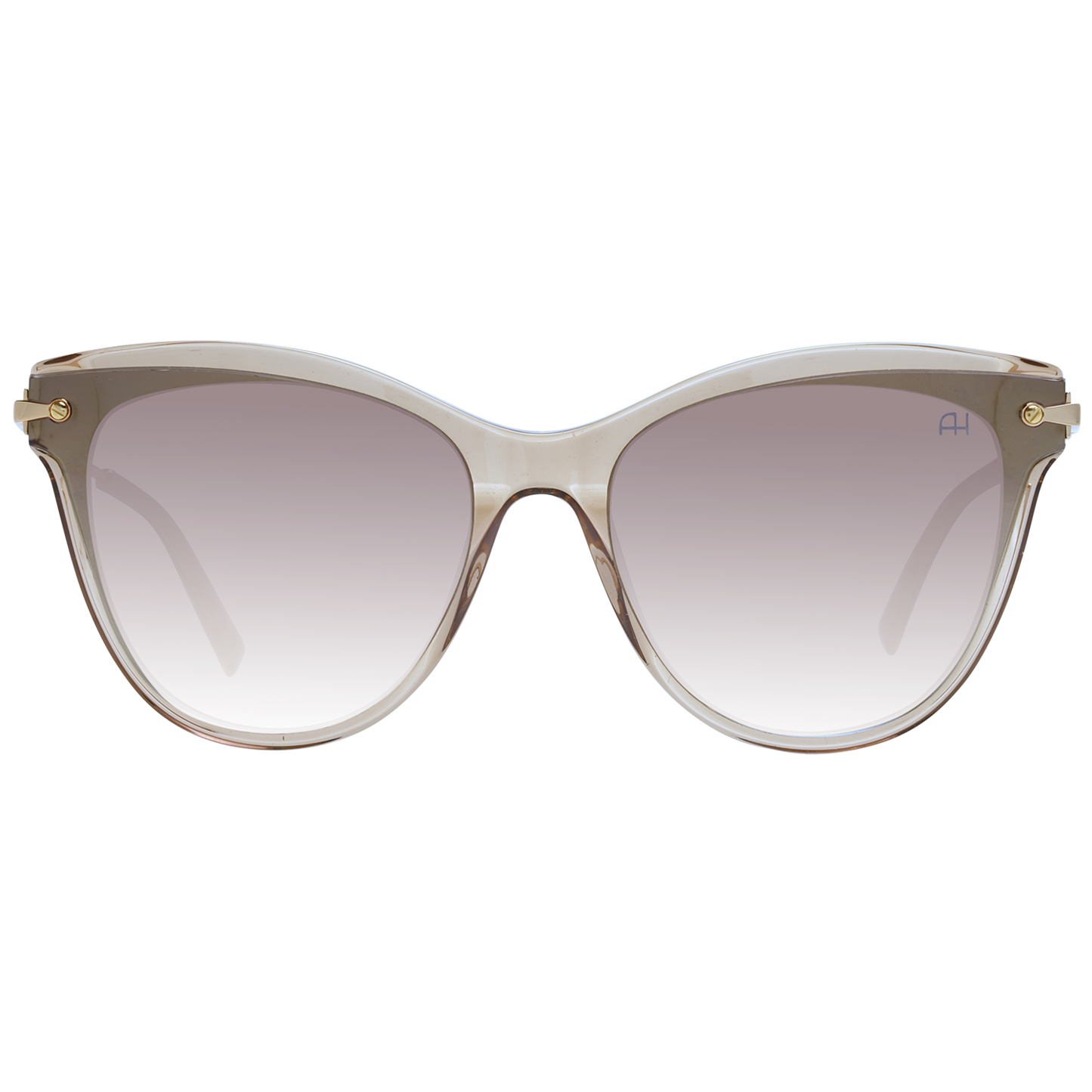 Ana Hickmann Sunglasses AH9283 T01 62