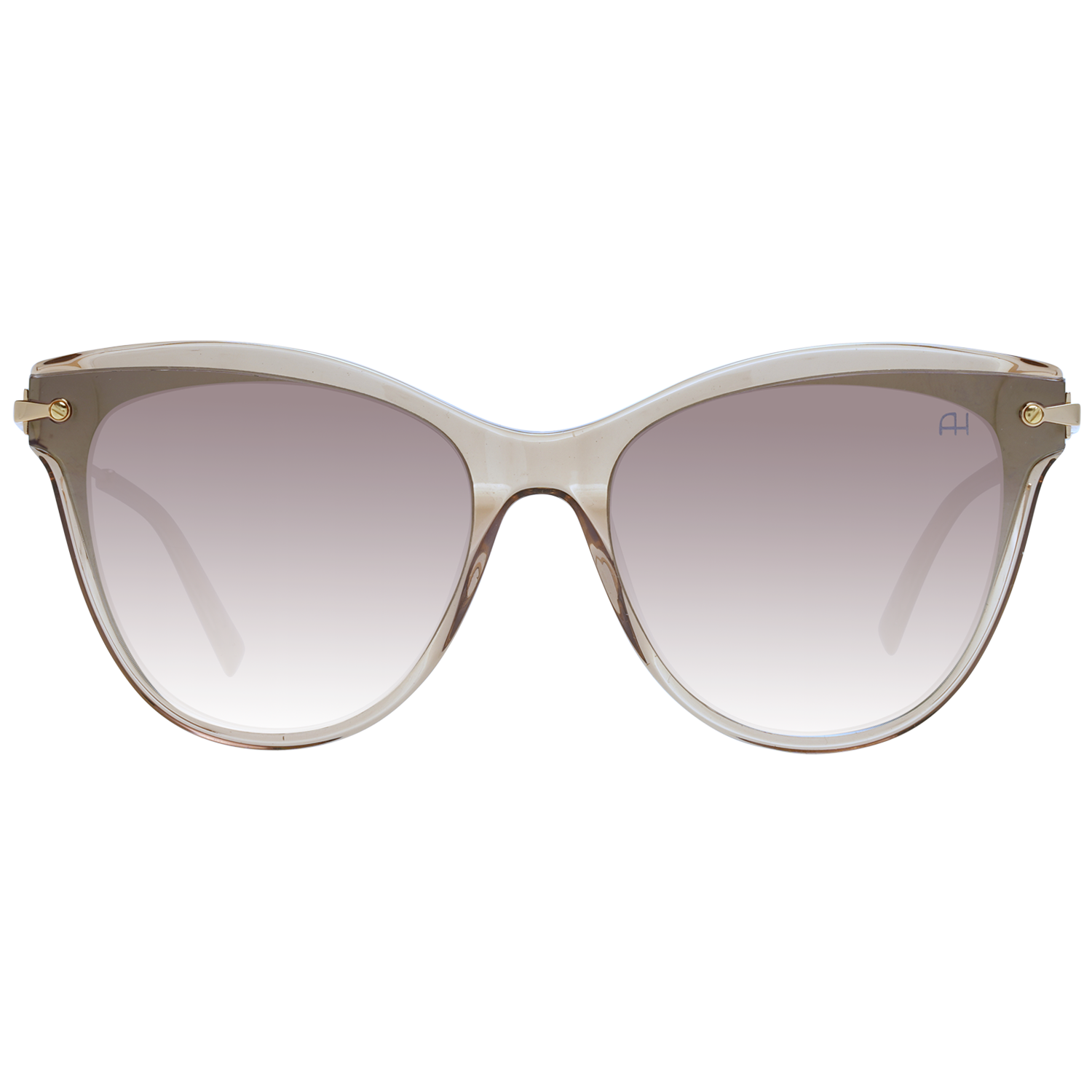 Ana Hickmann Sunglasses AH9283 T01 62