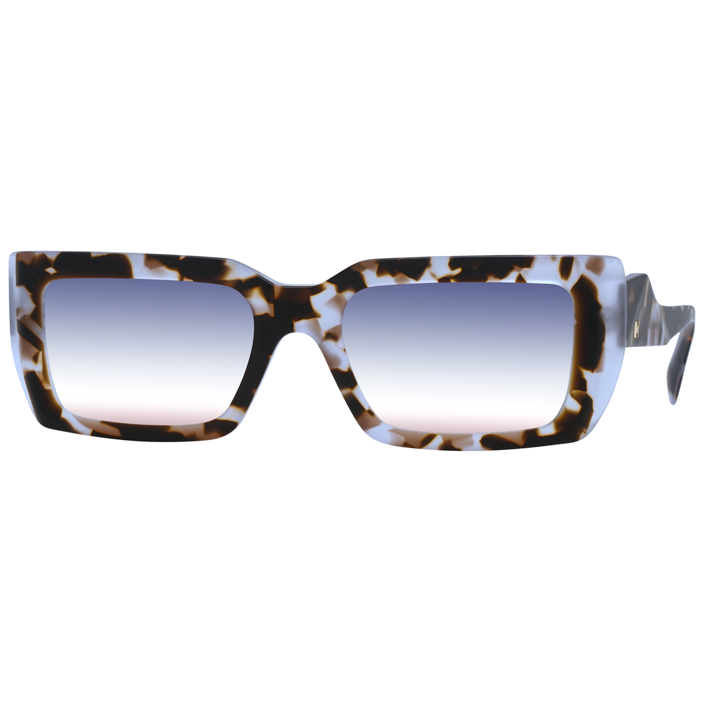 Ana Hickmann Sunglasses HI9199 G21 53