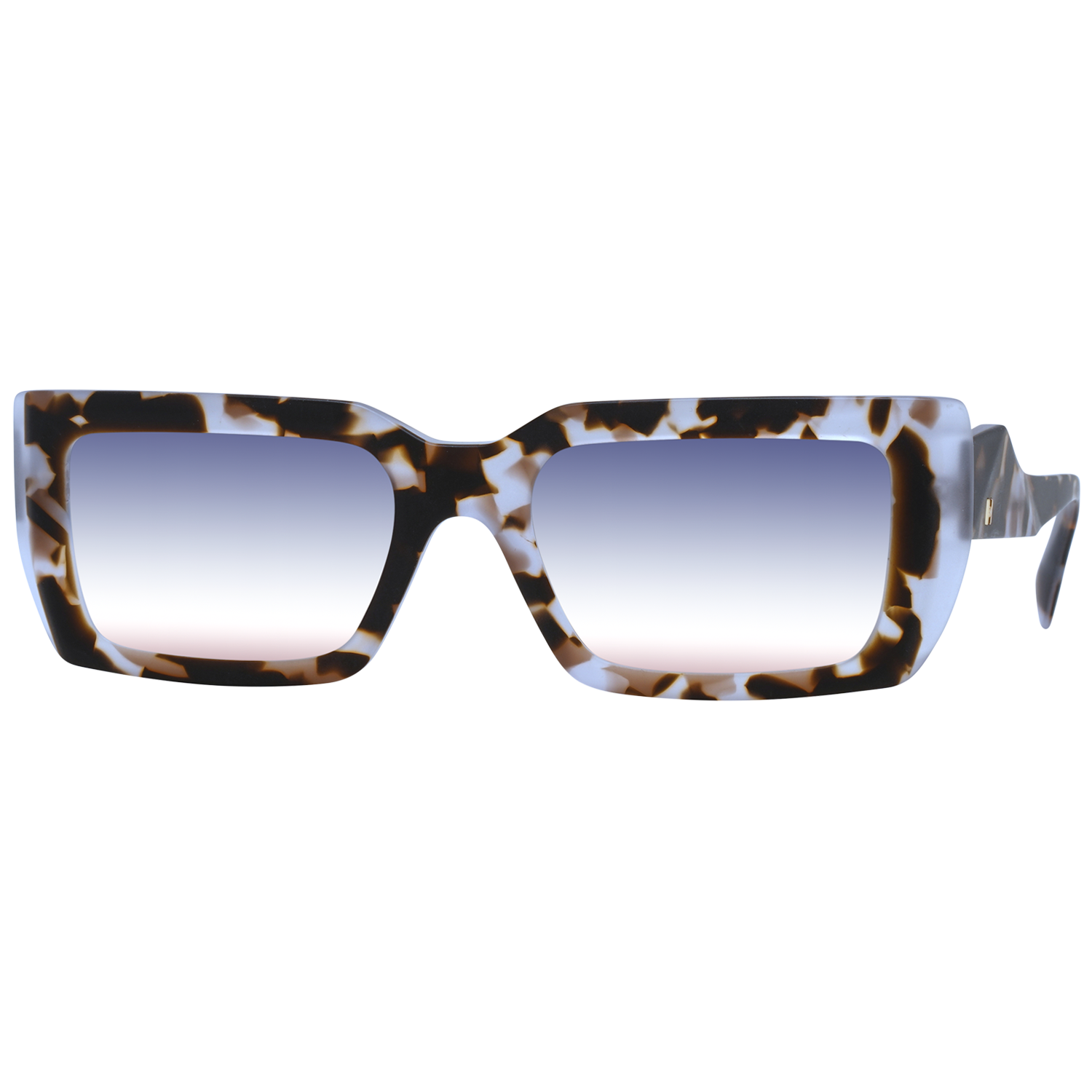 Ana Hickmann Sunglasses HI9199 G21 53