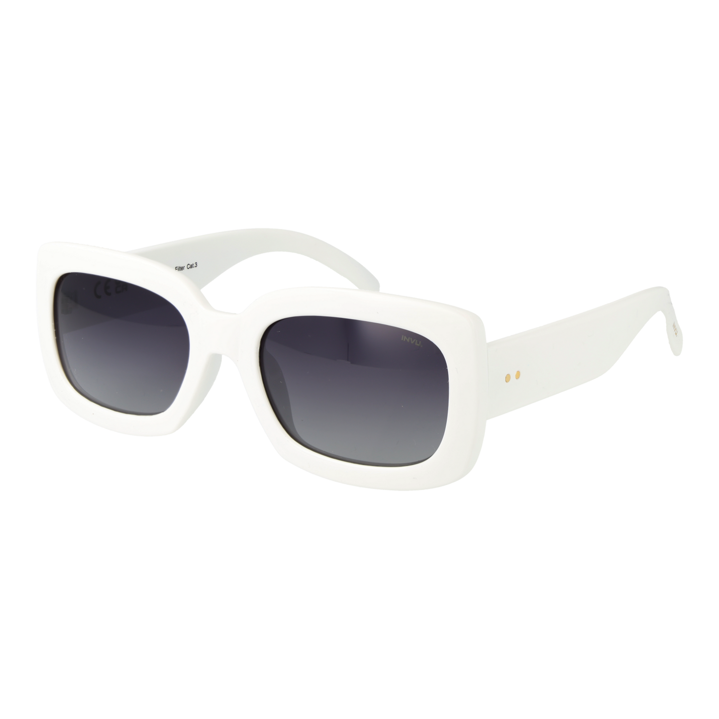 Invu Sunglasses B2248 C 54