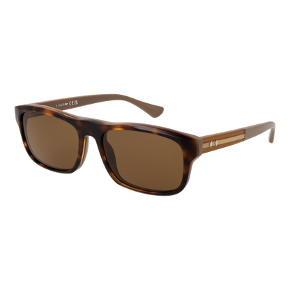 Web Sunglasses WE0371 56J 58